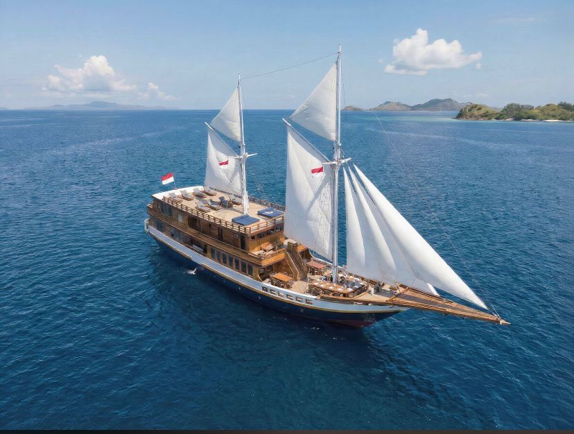 Naturalia Cruise